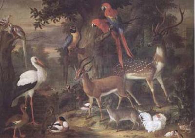 Jakob Bogdani Birds and deer in a Garden (mk25)
